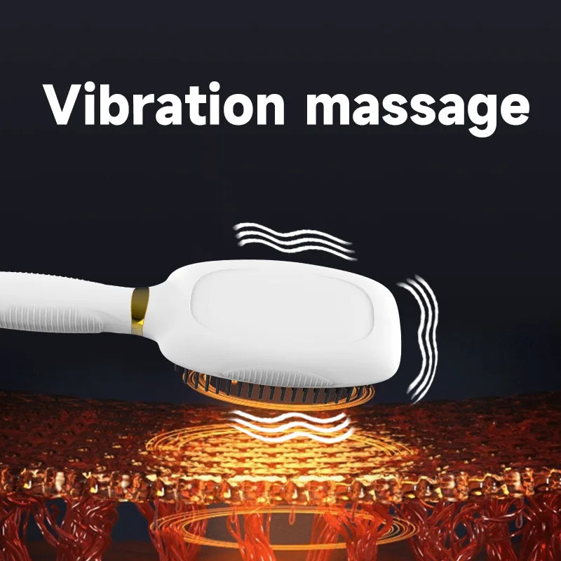 Electric Scalp Massager and Laser Hair Growth Comb