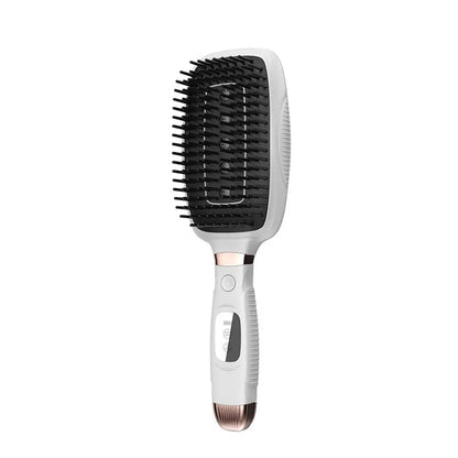 Electric Scalp Massager and Laser Hair Growth Comb