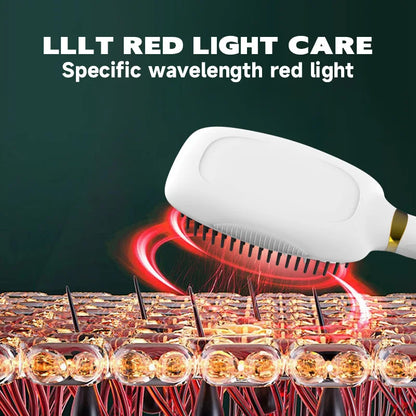 Electric Scalp Massager and Laser Hair Growth Comb